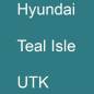 Preview: Hyundai, Teal Isle, UTK.